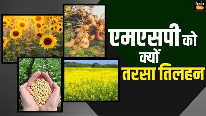 तिलहन फसलों का क्यों नहीं मिल रहा सही दाम?