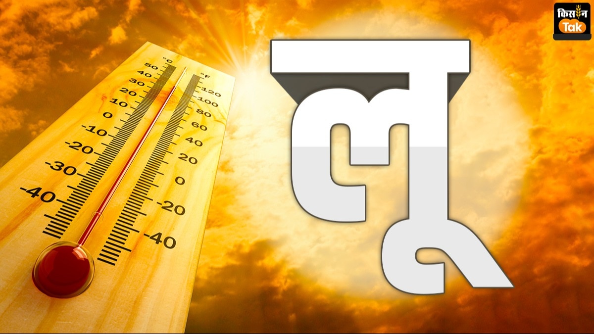 What is Heat Wave: क्‍या है लू ...कैसे होती है इसकी पहचान, इससे किसे और कितना होता है नुकसान