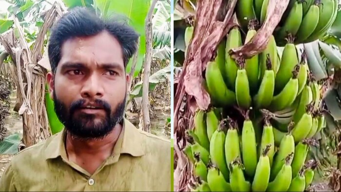 बाराबंकी के पाटमऊ गांव के रहने वाले युवा किसान विमल वर्मा (Kisan Tak)