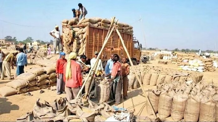 हरियाणा के गेहूं उत्पादक किसान हैं परेशान.(सांकेतिक फोटो)