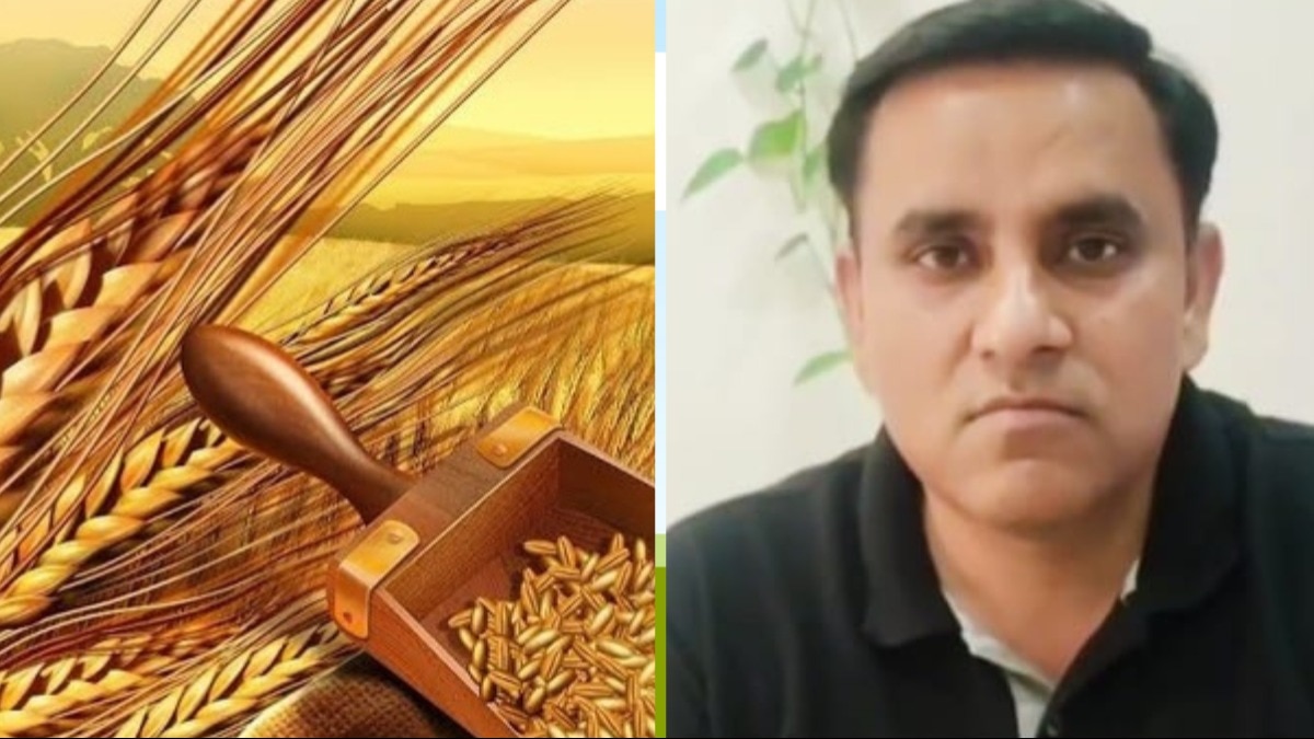 गेहूं के बाद नई फसल बोने से पहले किसान कर लें यह काम, डबल होगी इनकम, जानिए एक्सपर्ट की सलाह