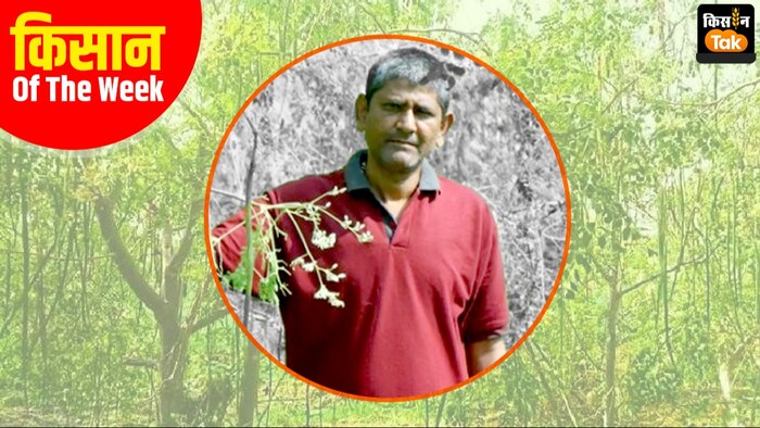 सहजन की खेती में किसान ने किया कमाल