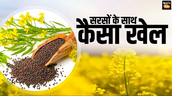 तिलहनी और दलहनी फसलों की MSP पर 25 फीसदी से अधिक नहीं हो सकती खरीदारी