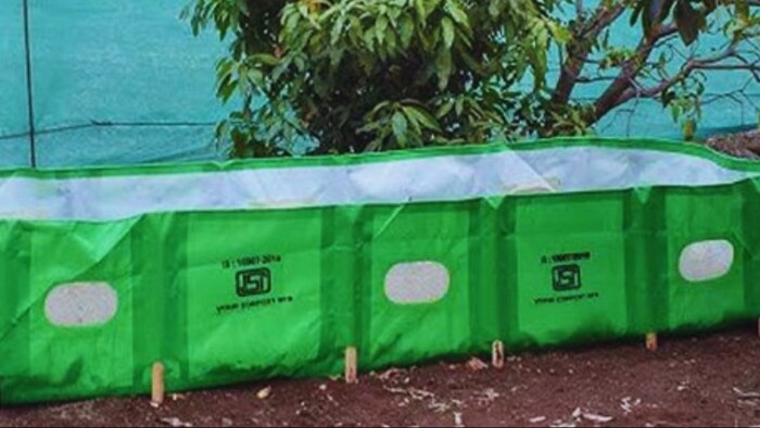 घर की छत पर चारा उगाएं