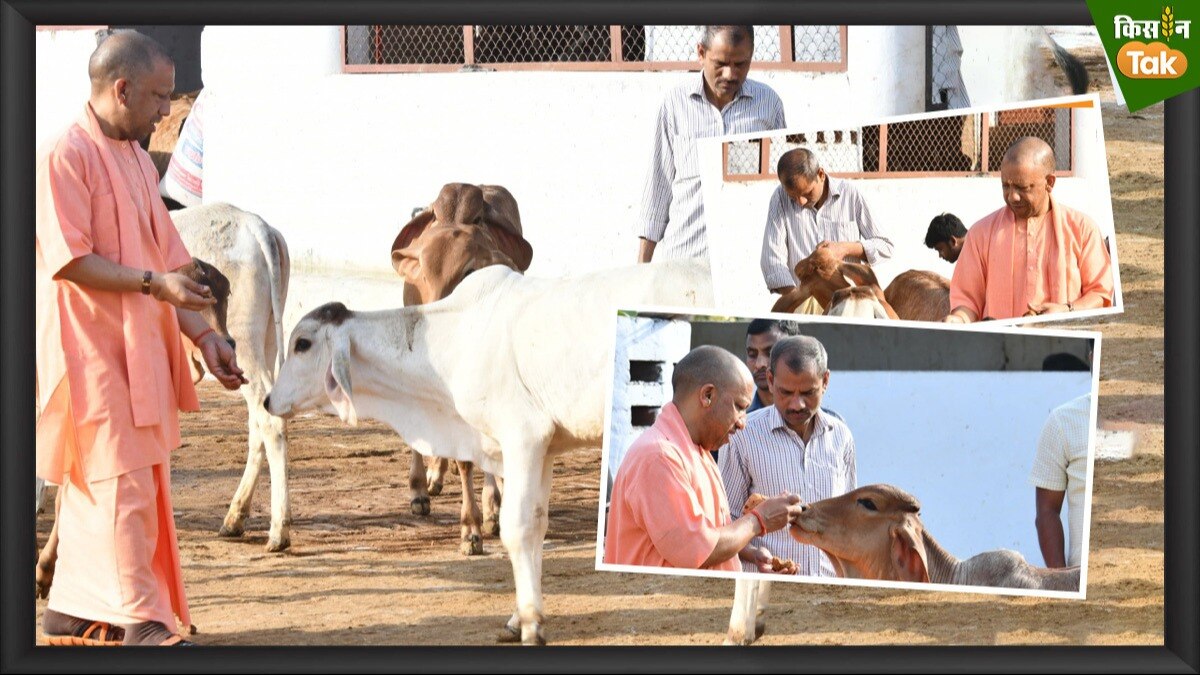 यूपी के मुख्यमंत्री व बीजेपी के फायरब्रांड नेता योगी आदित्यनाथ (Photo-Kisan Tak)
