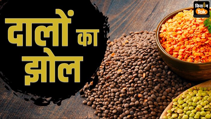 दालों के मामले में भारत कैसा बनेगा आत्मनिर्भर