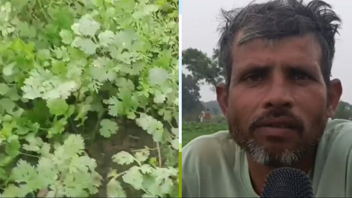 फर्रुखाबाद के अमानाबाद निवासी किसान सुनील कुमार पाल (Photo-Kisan Tak)