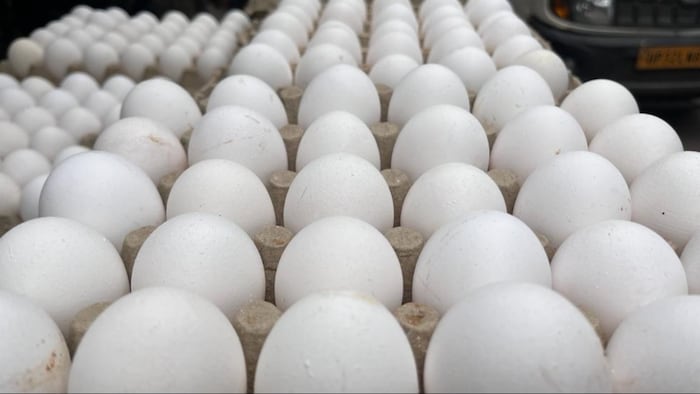 सर्दी बढ़ने का असर अंडे की खपत पर पड़ा है.