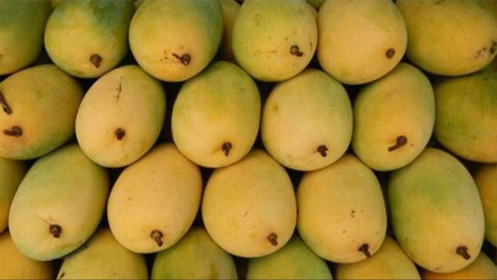 उत्पादन में गिरावट आने से महंगा हुआ आम. (सांकेतिक फोटो)