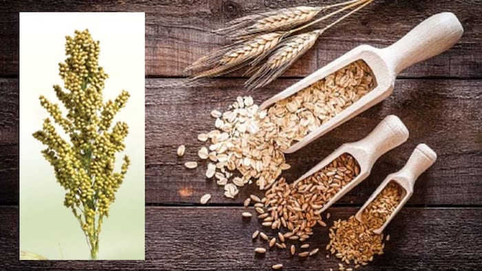 मार्च में रागी और रागी उत्पादों की महंगाई बढ़कर 16.6 फीसदी हो गई.