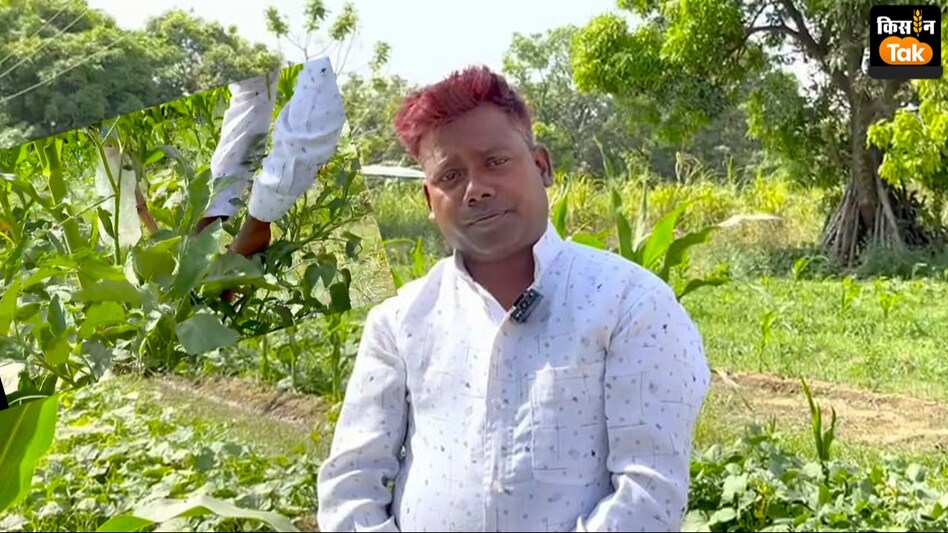 Success story : अयोध्या के इस किसान ने तैयार किया महाफसली मॉडल, खेती से हुआ मालामाल Success story : अयोध्या के इस किसान ने तैयार किया महाफसली मॉडल, खेती से हुआ मालामाल