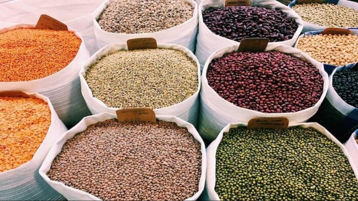 खरीफ बुवाई सीजन में दालों का रकबा 15 फीसदी तक बढ़ सकता है.