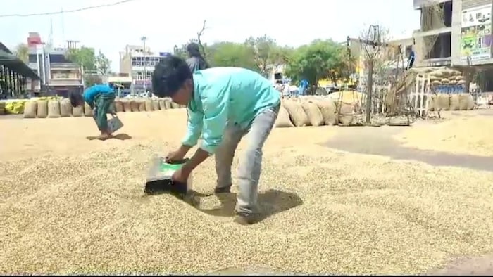 कृषि उत्पादों के निर्यात में आई कमी