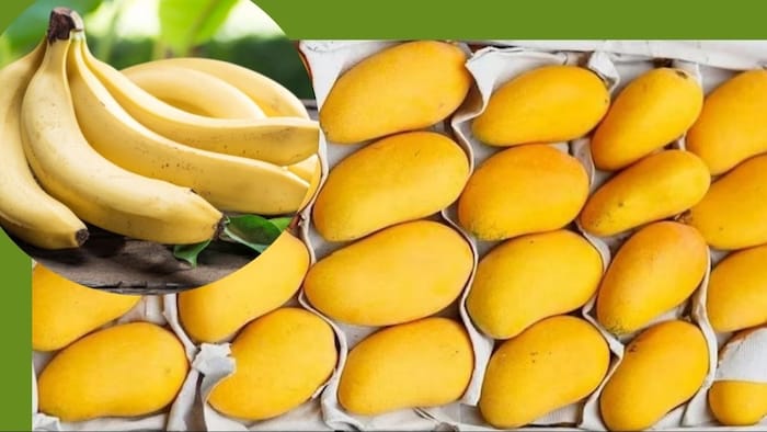 एपीडी के अनुसार इन 20 प्रोडक्ट की निर्यात क्षमता 56.7 अरब डॉलर से अधिक है.