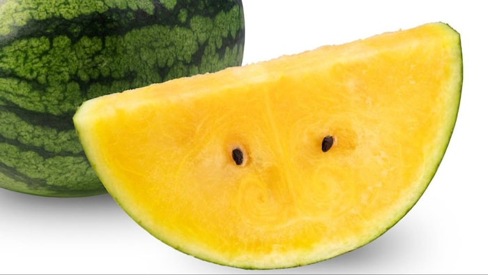 त्रिपुरा में किसानों के लिए फायदेमंद सााबित हो रही पीले तरबूज की खेती