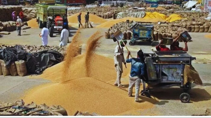 गेहूं की खरीद