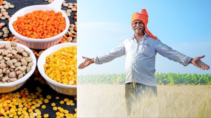 सरकार ने 3 राज्यों को दालों का उत्पादन बढ़ाने के लिए प्रेरित किया.