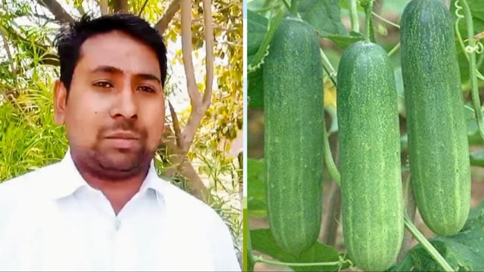बाराबंकी में खीरे की खेती करने वाले किसान दिलीप कुमार (Photo-Kisan Tak)