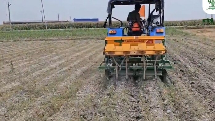 मूंग की खेती के लिए करें इस तकनीक का इस्तेमाल