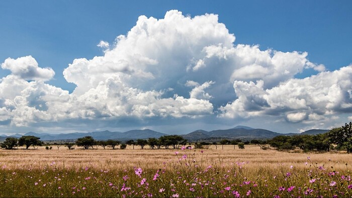 यूपी में अप्रैल में ही पड़ रही जून वाली प्रचंड गर्मी (File Pic)