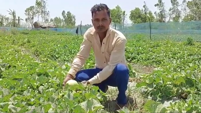 रायबरेली के लालगंज गांव के रहने वाले युवा किसान प्रमोद कुमार (Photo-Kisan Tak)