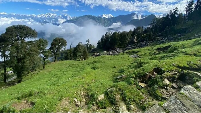 उत्तराखंड में मिली पौधे की 6 नई प्रजातियां
