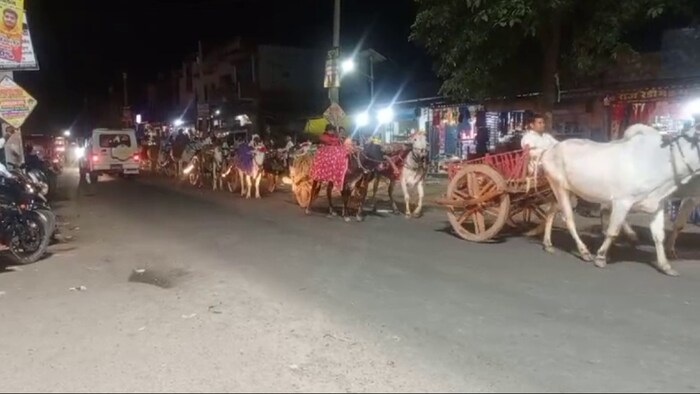 इस अनोखी बारात की चर्चा चारों तरफ हो रही हैं.