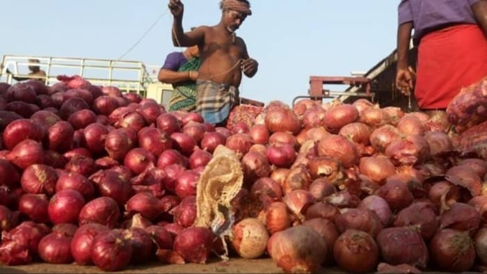 नेशनल कोऑपरेटिव एक्सपोर्ट्स लिमिटेड (एनसीईएल) विभिन्न देशों को प्याज का निर्यात करने वाली एजेंसी है.