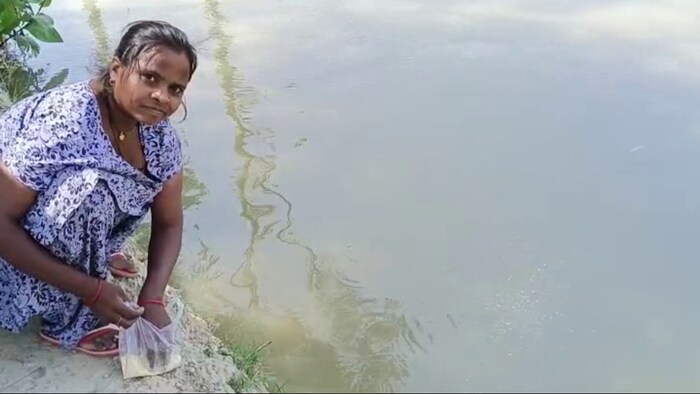 गुड़िया मुख्य रूप से तीन प्रकार की मछलियों का पालन करती है. (Photo-Kisan Tak)