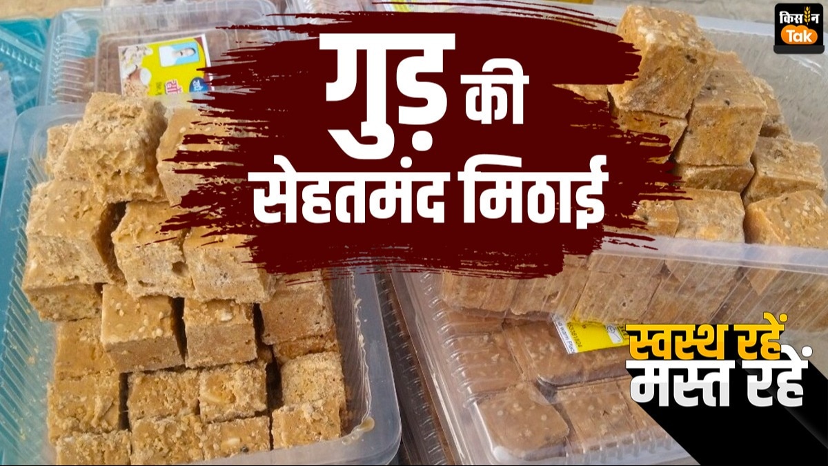 स्वस्थ रहें, मस्त रहें: बाराबंकी में बनती है देशी गुड़ की मसाला बर्फी, 10 बीमारियों को दे सकती है मात