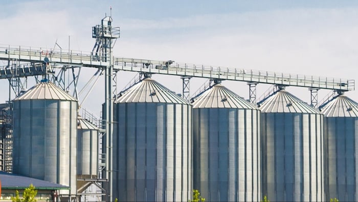 साइलो अनाज की क्वालिटी को लंबे समय तक बनाए रखता है.