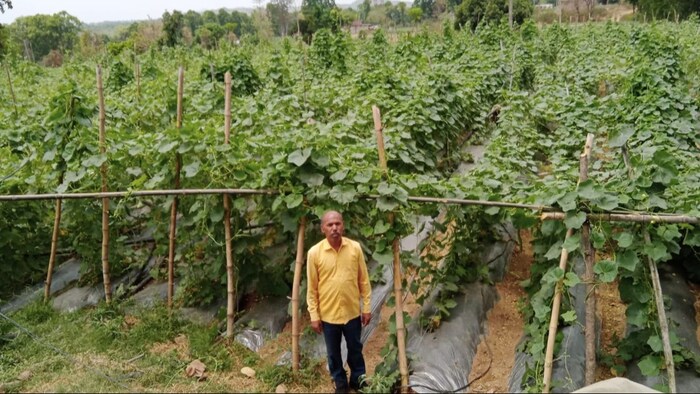 सफल किसान गंसू महतो