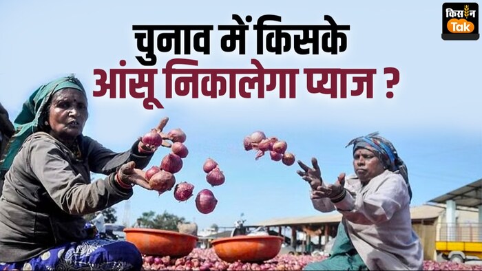 बीजेपी के रास्ते में बाधा खड़ी कर सकते हैं प्याज किसान.