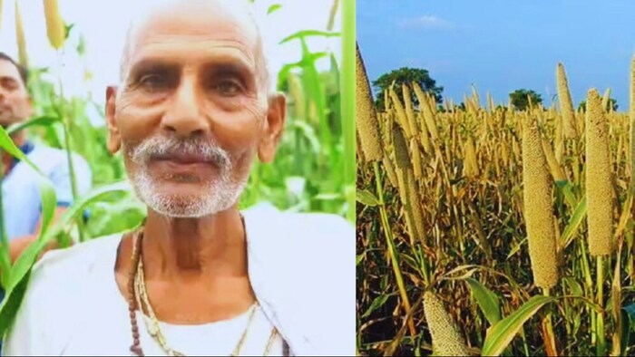 बाजरे की खेती