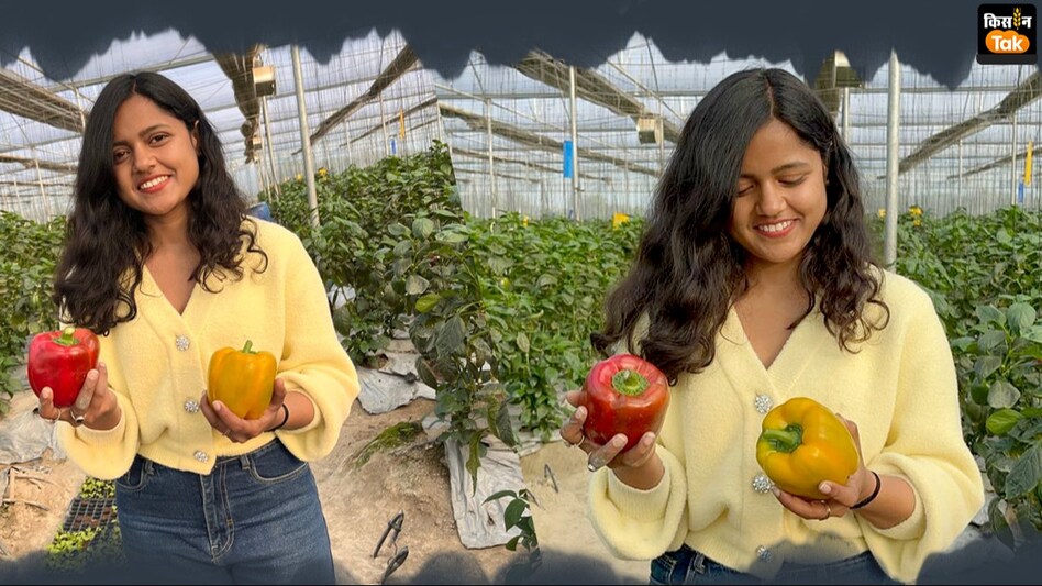 Success story: शिमला मिर्च की खेती से इस महिला किसान की बदल गई जिंदगी, पांच गुना ज्यादा उत्पादन से खूब हुई कमाई Success story: शिमला मिर्च की खेती से इस महिला किसान की बदल गई जिंदगी, पांच गुना ज्यादा उत्पादन से खूब हुई कमाई