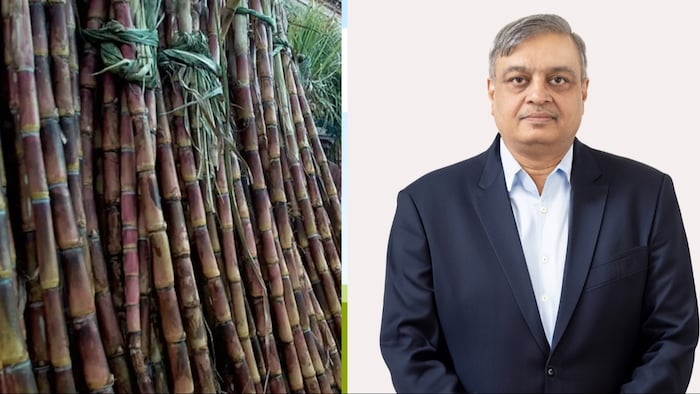 उत्तर प्रदेश सबसे अधिक गन्ना उत्पादक राज्यों में से एक है. (Photo- Kisan Tak)