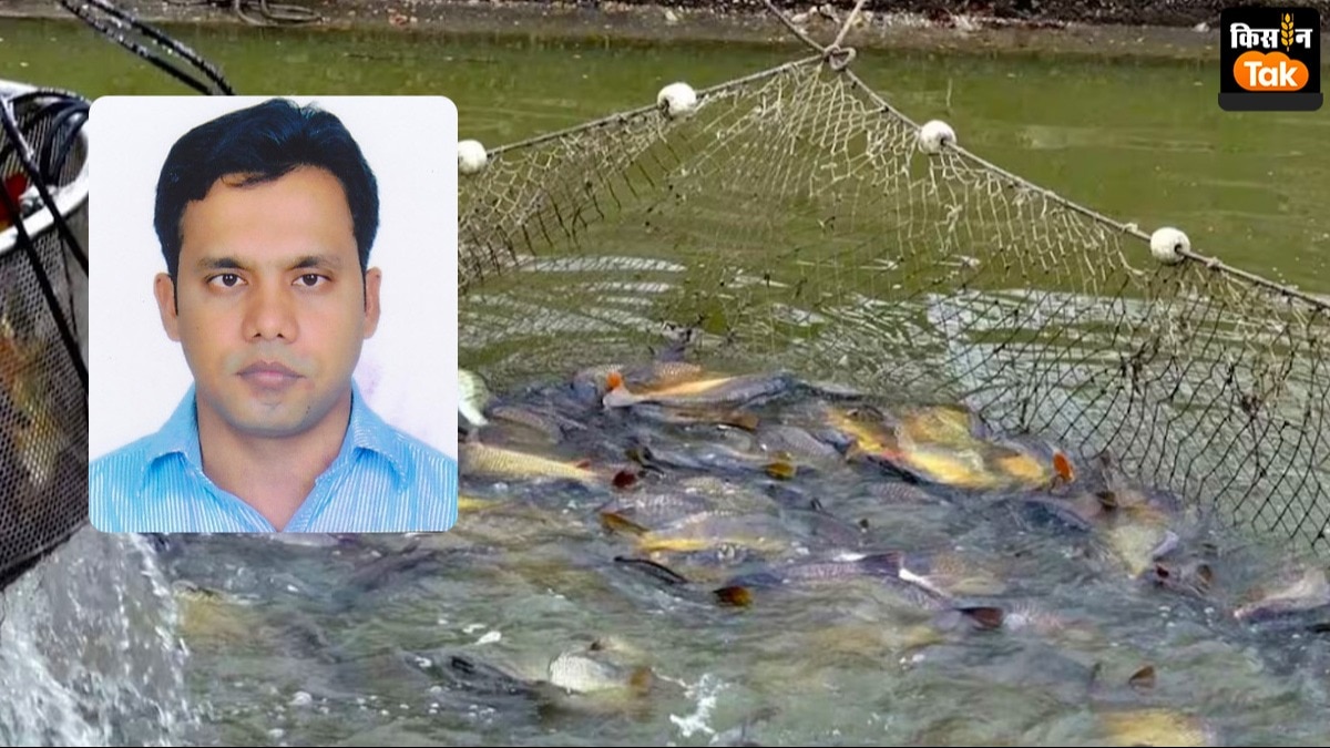 तेज धूप-गर्मी में यह काम जरूर करें मछली किसान, नुकसान से बचने के लिए पढ़ें एक्सपर्ट की राय