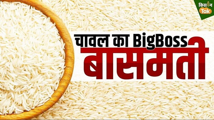 बासमती चावल के एक्सपोर्ट में भारी उछाल.