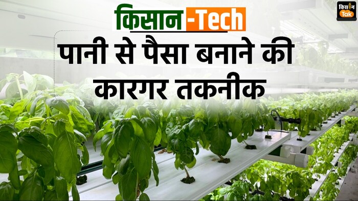 क्या है हाइड्रोपोनिक खेती?