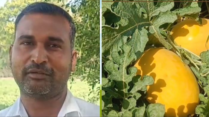 शाहजहांपुर के पुवायां तहसील के रहने वाले प्रगतिशील युवा किसान दीपक कुमार (Photo- Kisan Tak)