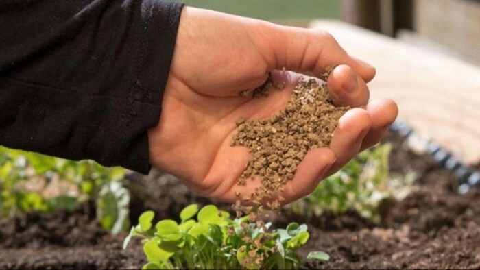 ऑर्गेनिक खाद