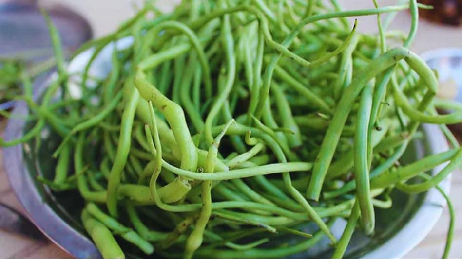 काफी महंगी है ये सब्जी, बिना खाद-पानी के होती है खेती, फायदे भी जान लीजिए काफी महंगी है ये सब्जी, बिना खाद-पानी के होती है खेती, फायदे भी जान लीजिए