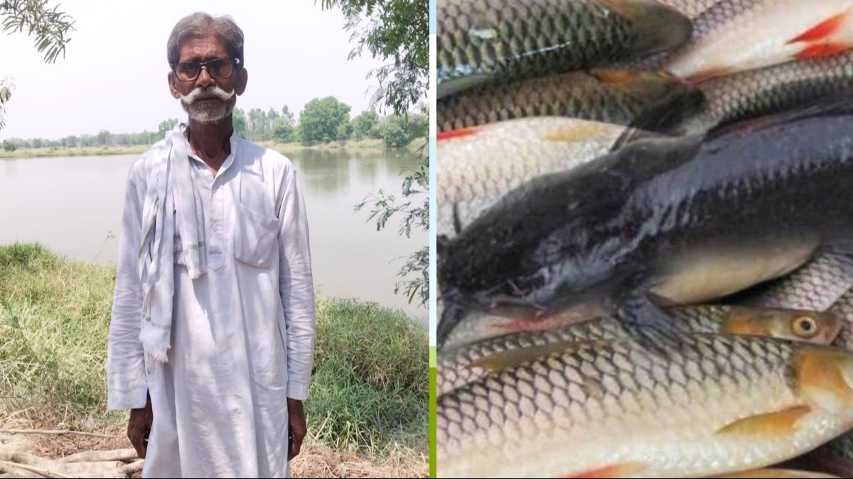 Fish Farming: पिता से रुपये लेकर रायबरेली के किसान ने शुरू किया मछली पालन, अब सालाना 25 लाख की कमाई