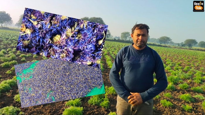 हमीरपुर जिले के चिल्ली गांव के रहने वाले किसान रघुवीर सिंह (Photo-Kisan Tak)