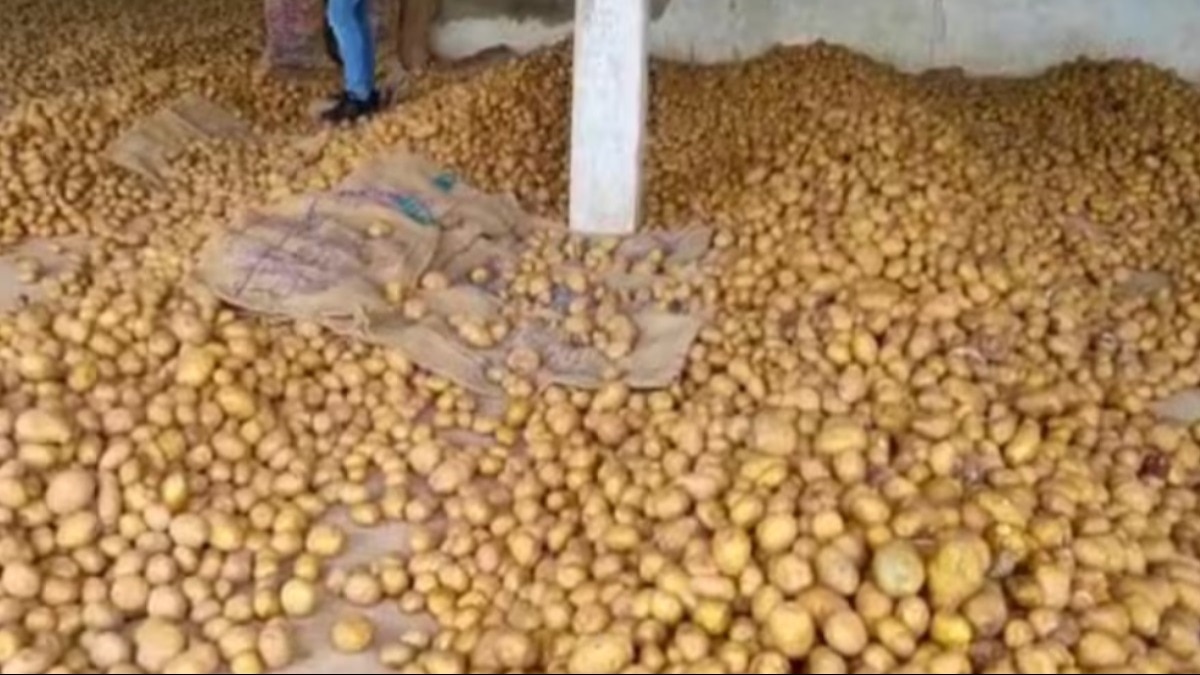 30 दिन में आलू की कीमत 12 फीसदी उछली, प्याज और टमाटर का पारा भी चढ़ा, अगले कुछ माह महंगी रहेंगी सब्जियां  