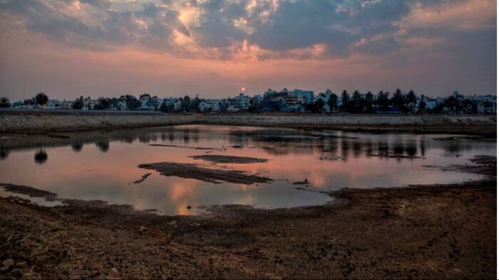 सूखे के कारण 48 लाख हेक्टेयर में फसल बर्बाद