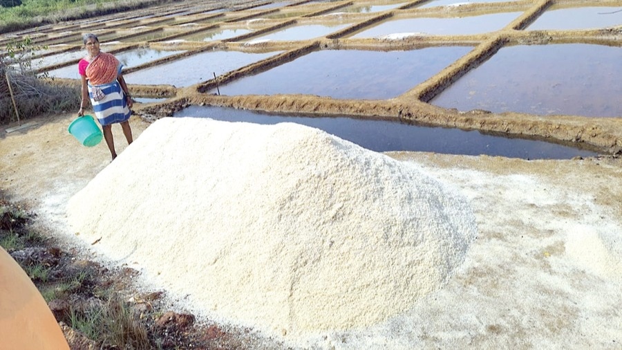नमक की कीमतों में आई गिरावट ने बढ़ाई आंध्र प्रदेश के किसानों की परेशानी, कर्ज के जाल में डूबे किसान