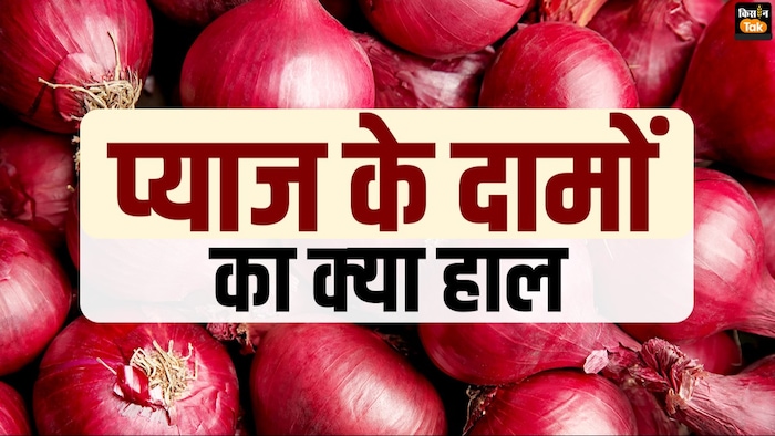 प्याज एक्सपोर्ट से बैन हटने के बाद भी क्यों नहीं बढ़ रहे प्याज के दाम