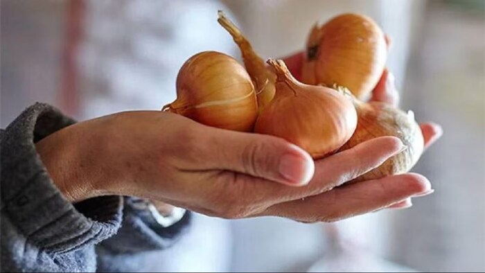 बेंगलुरू में महंगा हो गया प्याज. (सांकेतिक फोटो)ो