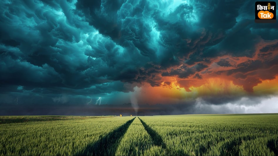 UP Weather News: यूपी में दिखेगी मौसम की आंख मिचौली, बचाव में किसानों को दी गई ये सलाह UP Weather News: यूपी में दिखेगी मौसम की आंख मिचौली, बचाव में किसानों को दी गई ये सलाह